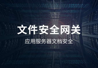 驭胜绿盾文件安全网关系统