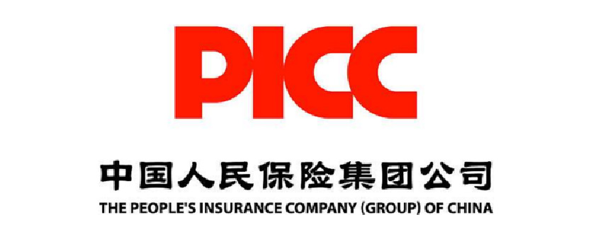 PICC-(驭胜DLP)