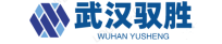 武汉驭胜信息安全技术有限公司
